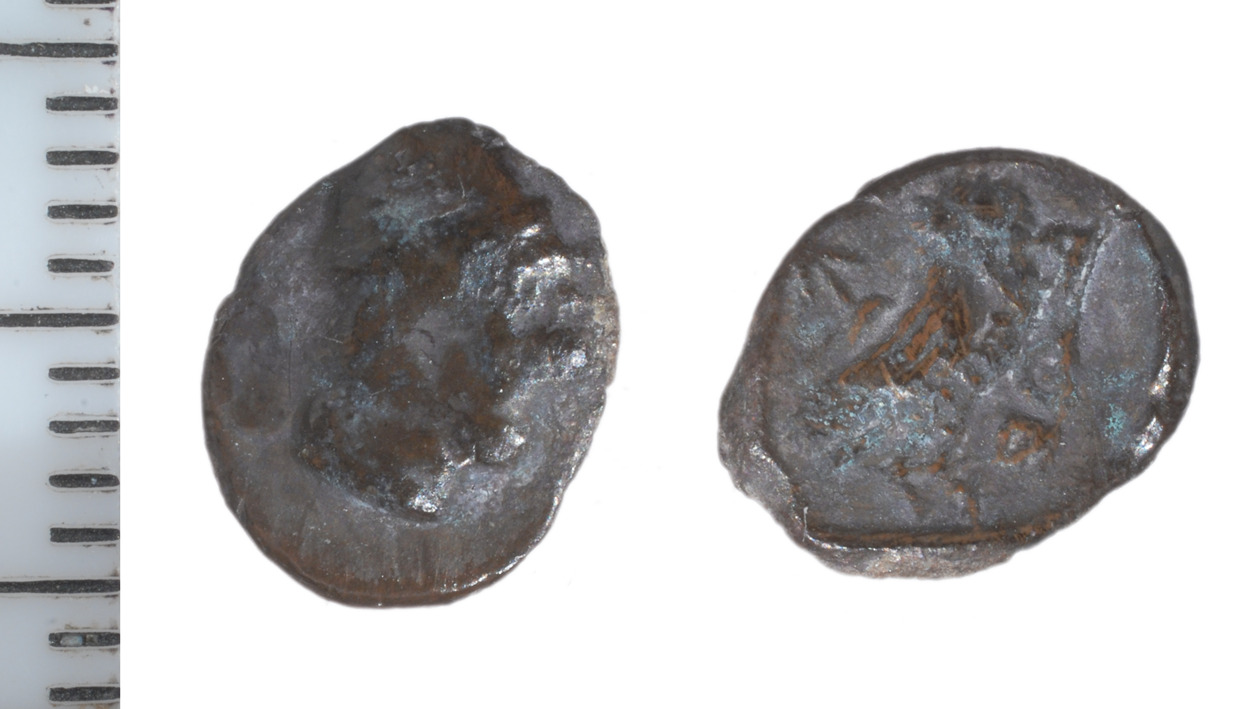 Samarian Coinage 297, аверс, sitnam