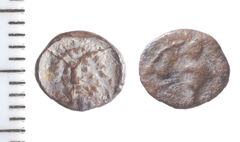 Samarian Coinage 173, реверс, sitnam
