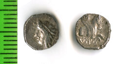 Samarian Coinage 39, реверс, sitnam
