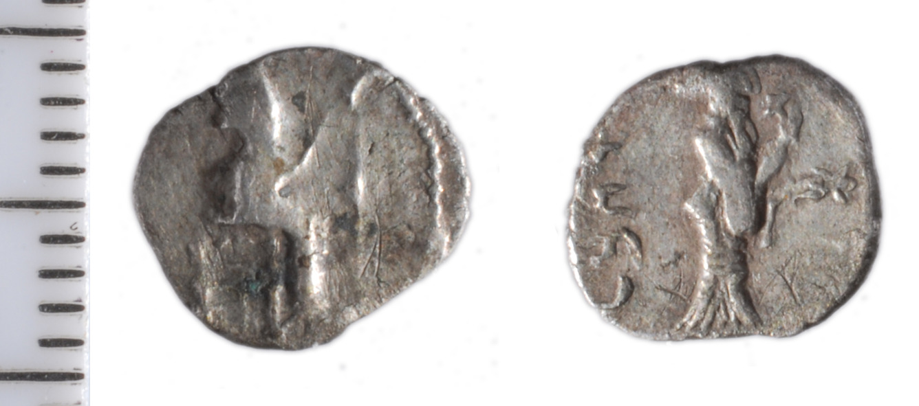 Samarian Coinage 161, аверс, sitnam