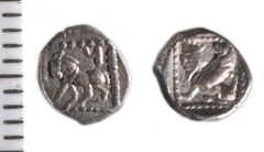 Samarian Coinage 88, реверс, sitnam