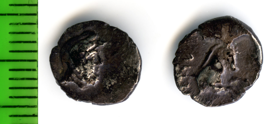Samarian Coinage 18, аверс, sitnam