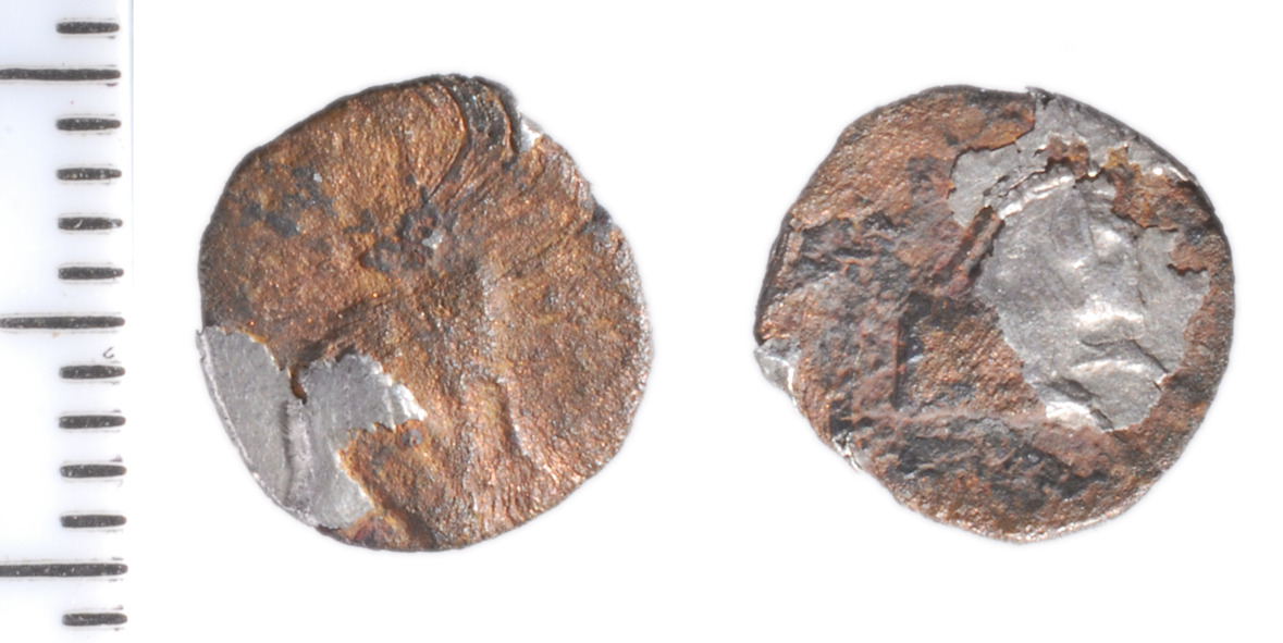 Samarian Coinage 18, аверс, sitnam