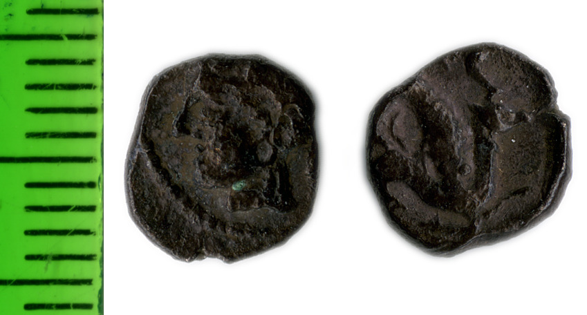 аверс Samarian Coinage 48