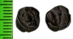реверс Samarian Coinage 48