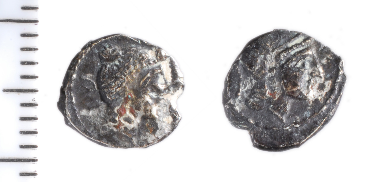 аверс Samarian Coinage 53