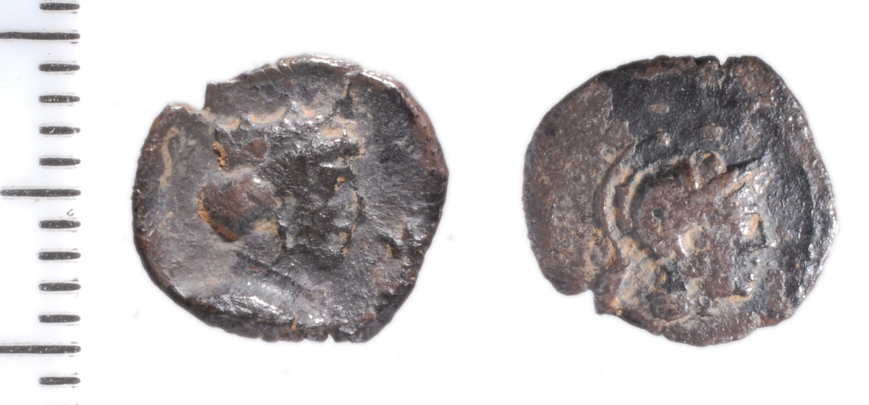 Samarian Coinage 53, аверс, sitnam