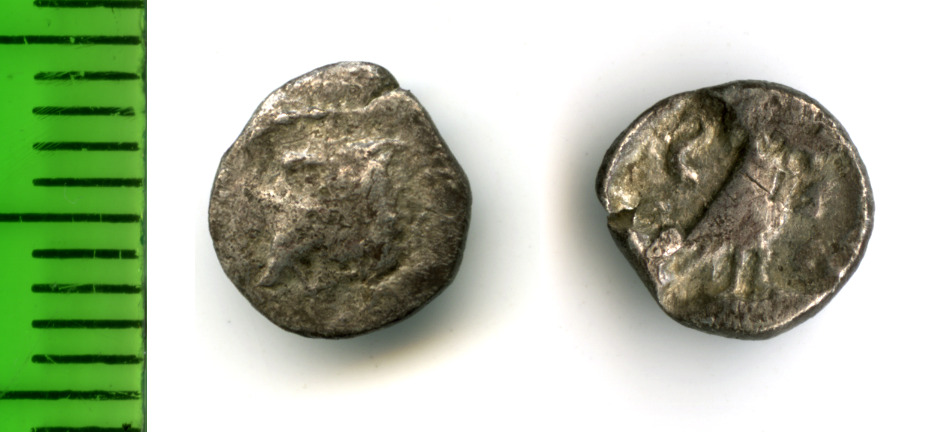 Samaria (Achaemenid province) obv