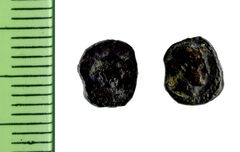 Samarian Coinage 14, реверс, sitnam