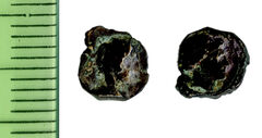 реверс Samarian Coinage 11