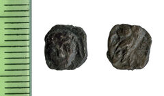 Samarian Coinage 144, реверс, sitnam