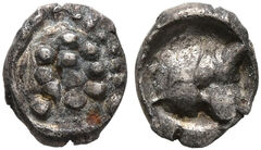 Samarian Coinage 233, реверс, sitnam