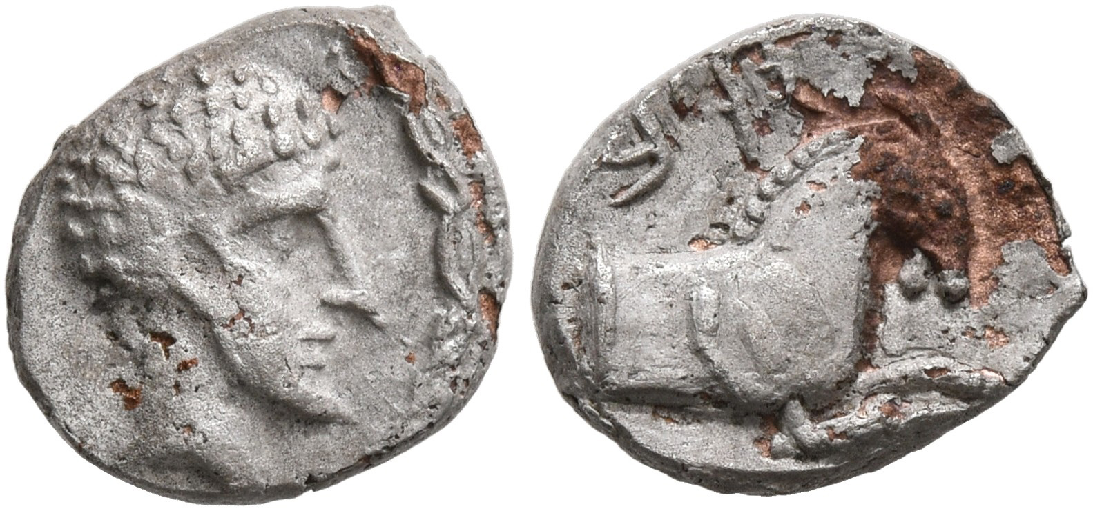 Samarian Coinage 148, аверс, sitnam