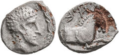 Samarian Coinage 148, реверс, sitnam