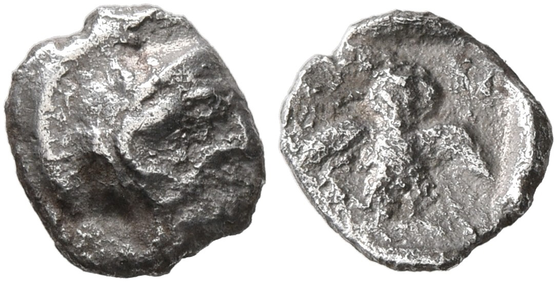 Samarian Coinage 113, аверс, sitnam