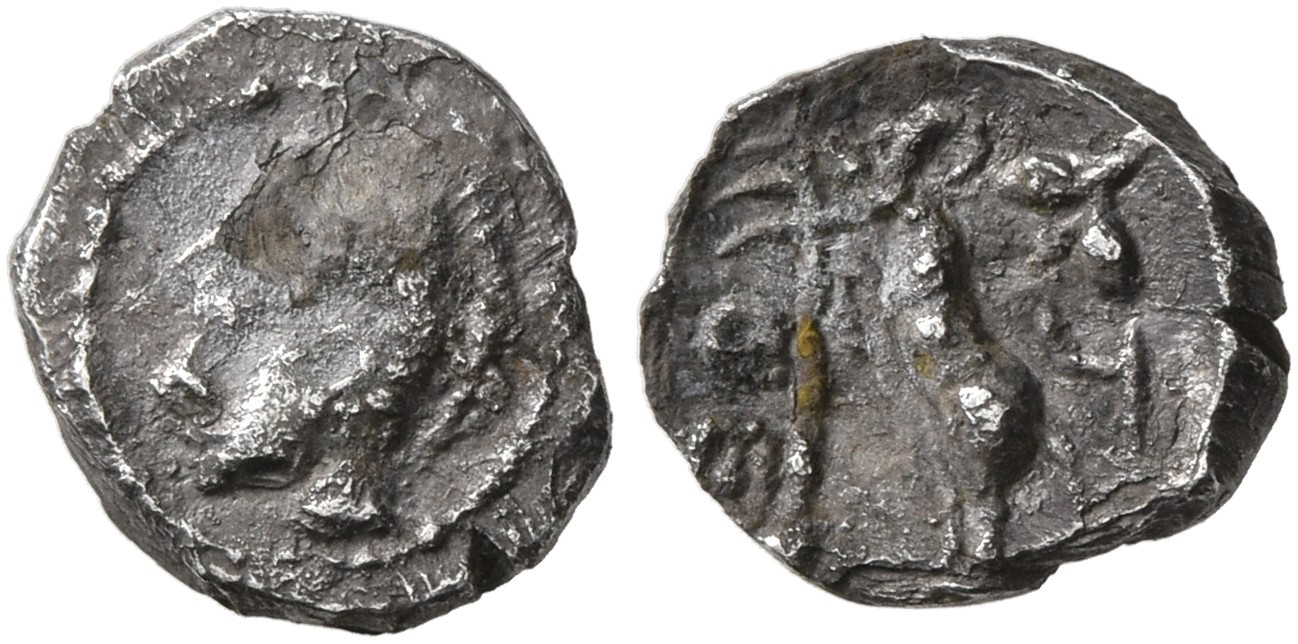 Samarian Coinage 43, аверс, sitnam