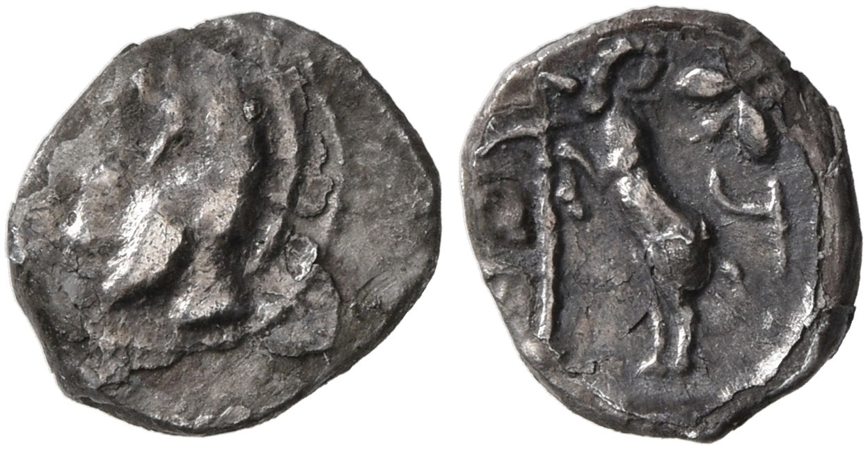 Samarian Coinage 43, аверс, sitnam