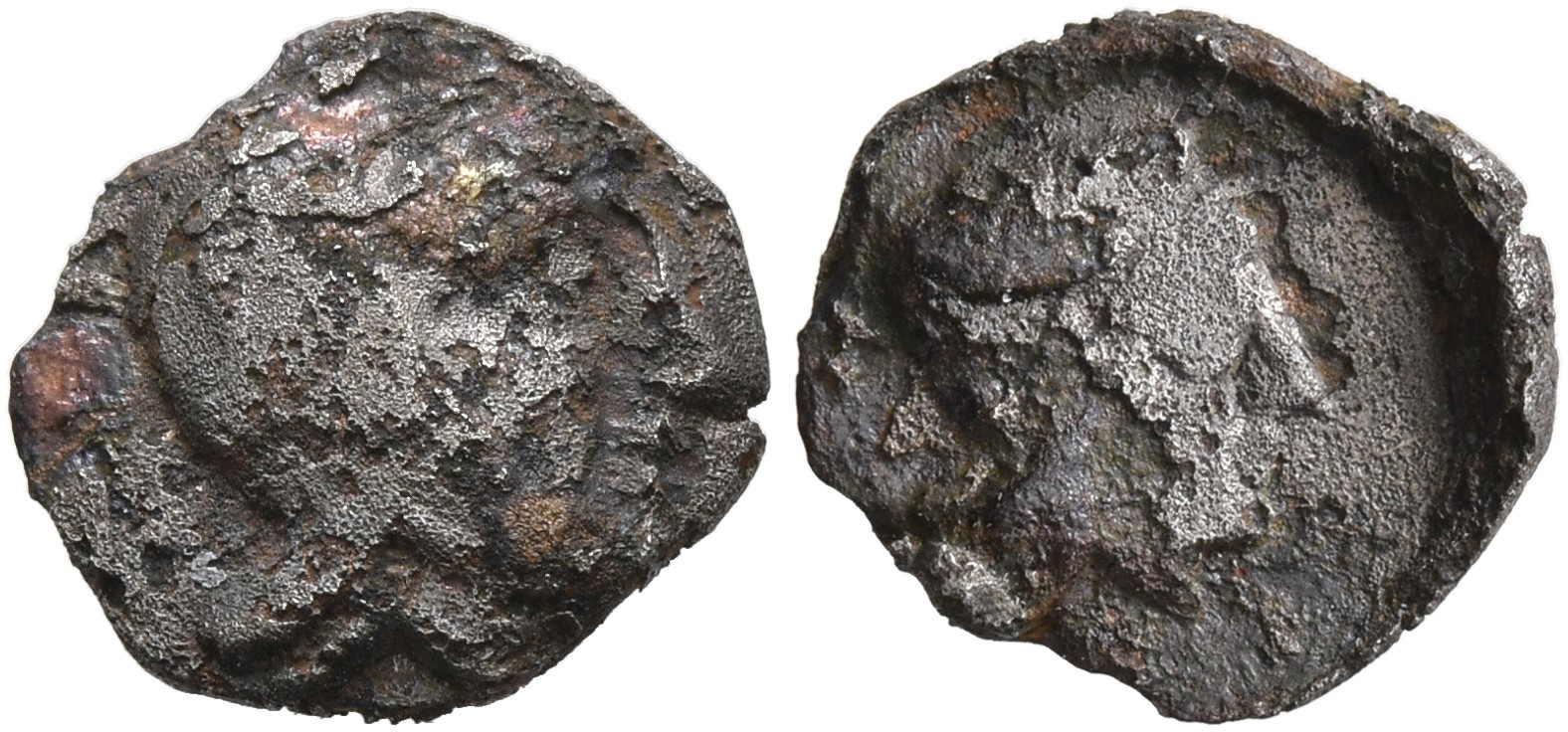 Samarian Coinage 217, аверс, sitnam