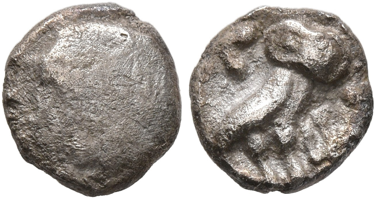 Samarian Coinage 299, аверс, sitnam