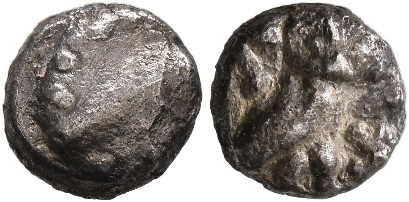 Samarian Coinage 288, аверс, sitnam
