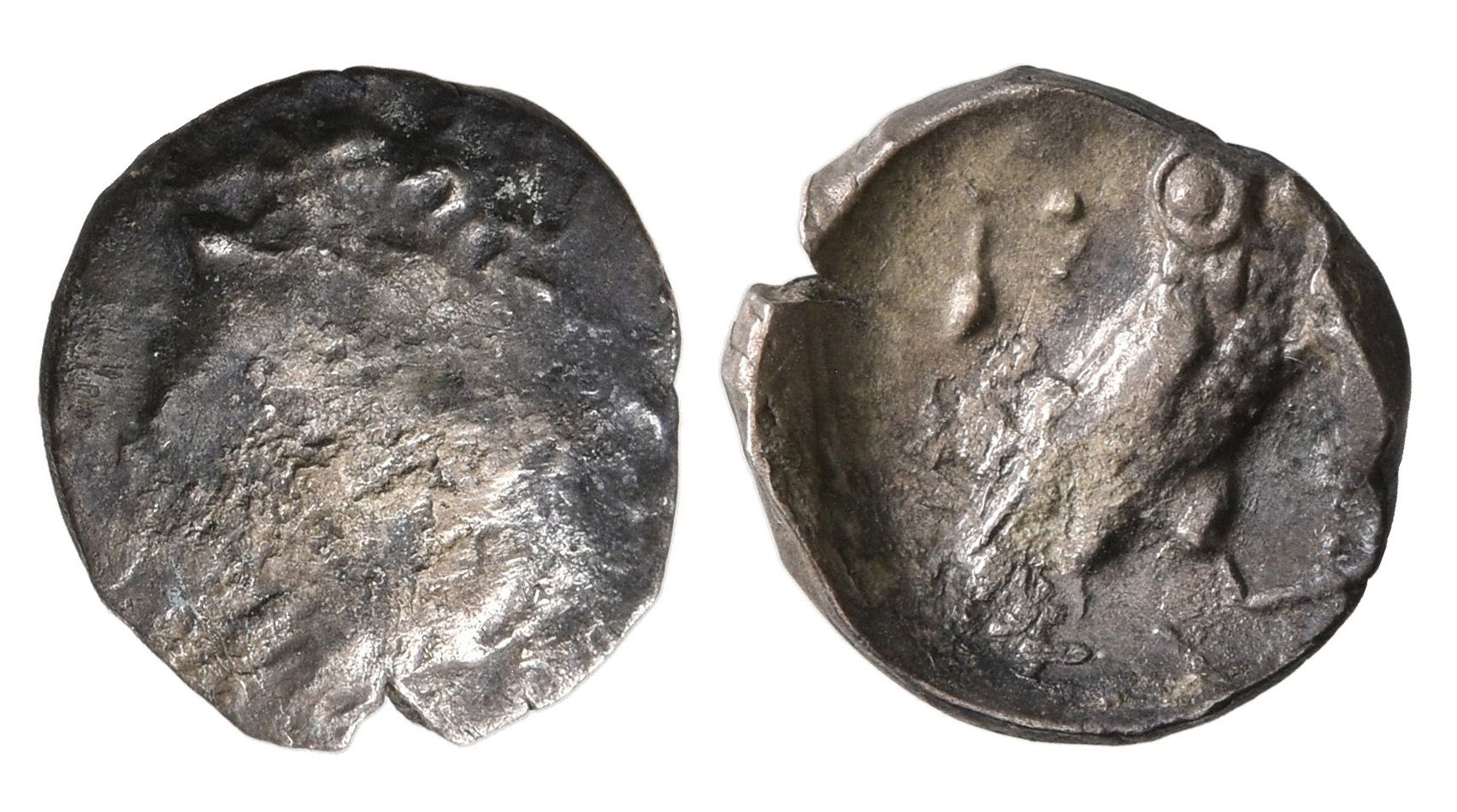Samarian Coinage 273, аверс, sitnam