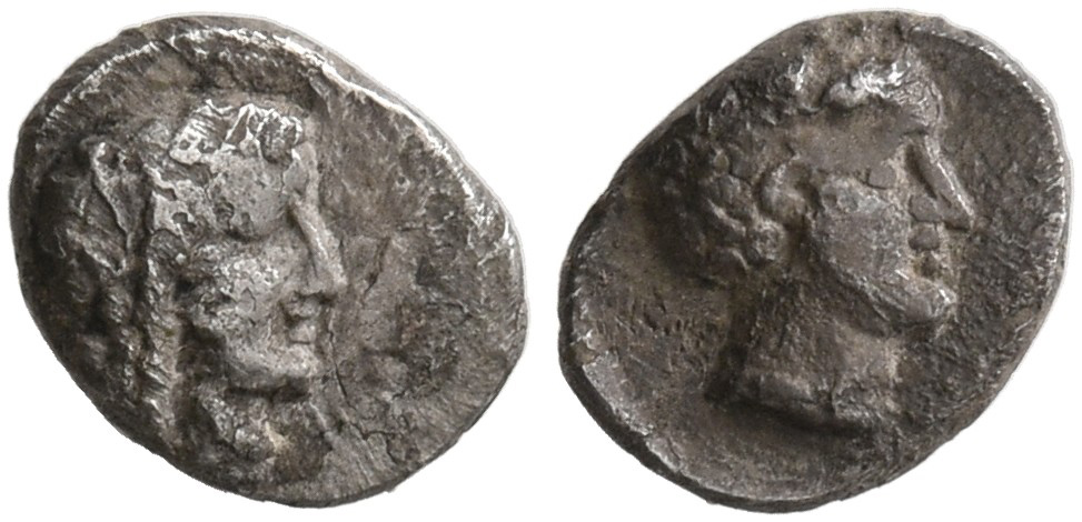 Samarian Coinage 263, аверс, sitnam