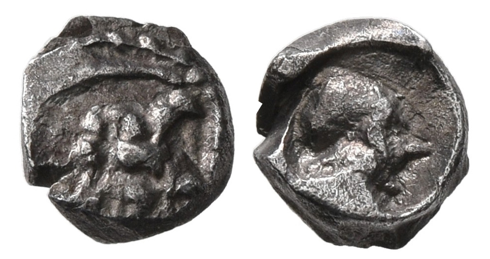 Samarian Coinage 233, аверс, sitnam
