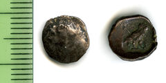 Samarian Coinage 273, реверс, sitnam
