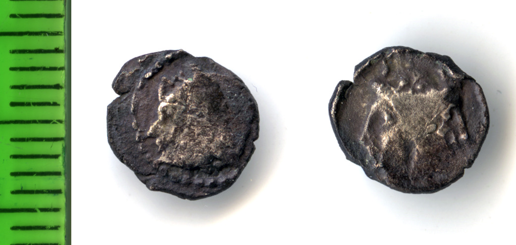 Samarian Coinage 239, аверс, sitnam
