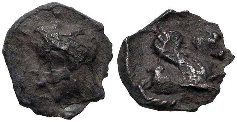 Samarian Coinage 41, аверс, sitnam