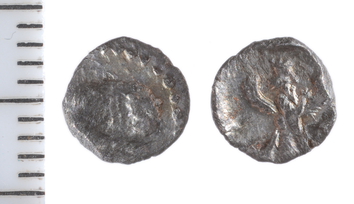 Samarian Coinage 213, аверс, sitnam