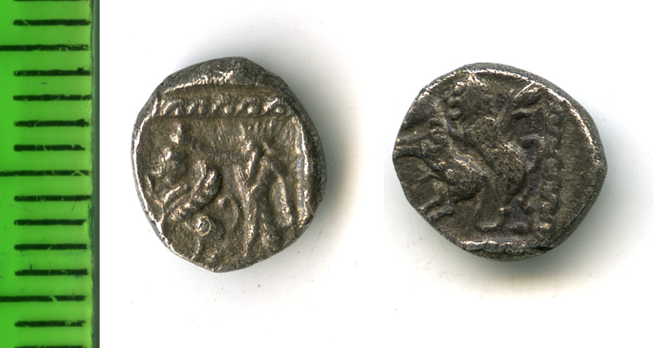 Samarian Coinage 241, аверс, sitnam