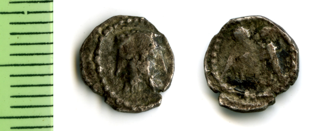 Samarian Coinage 274, аверс, sitnam