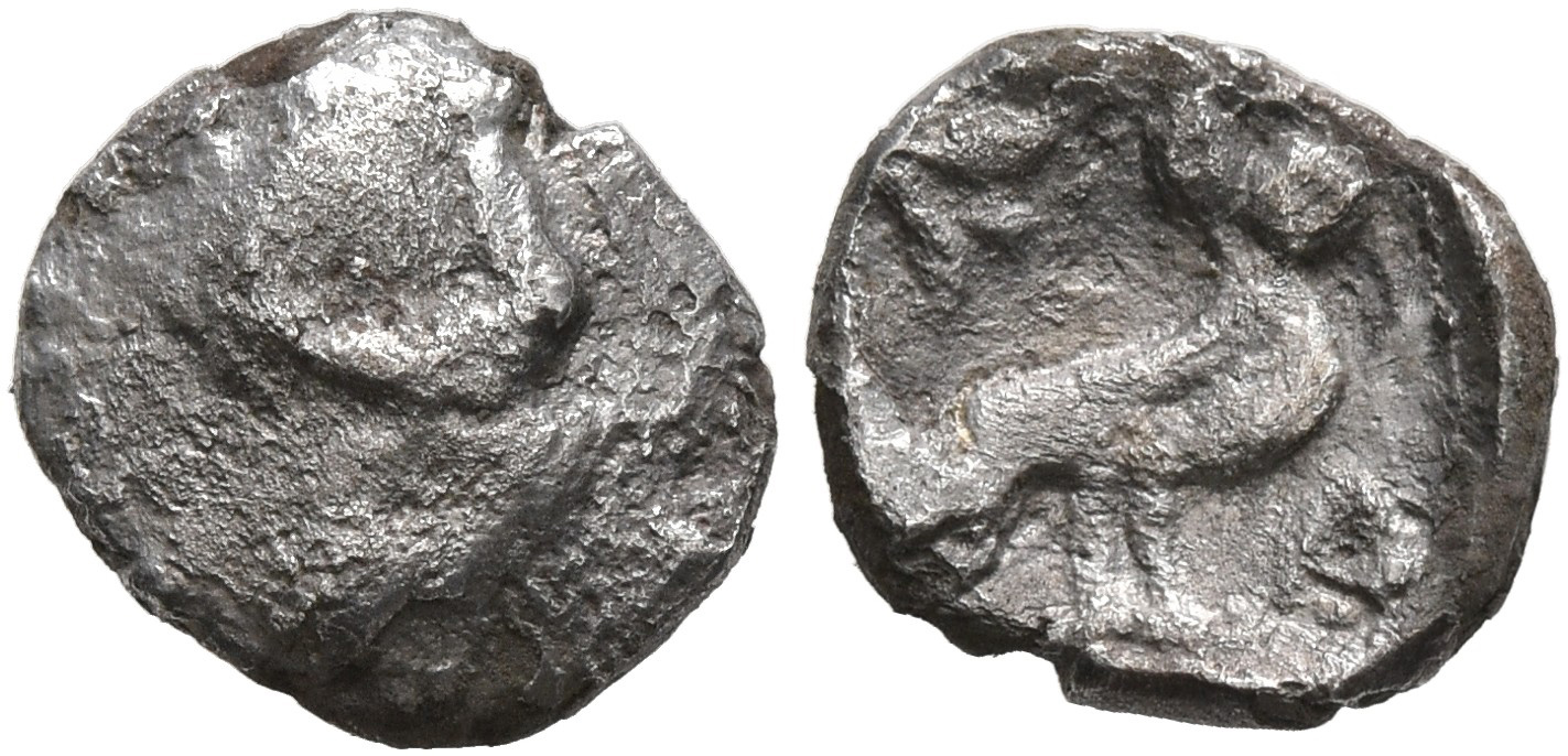 Samarian Coinage 287, аверс, sitnam