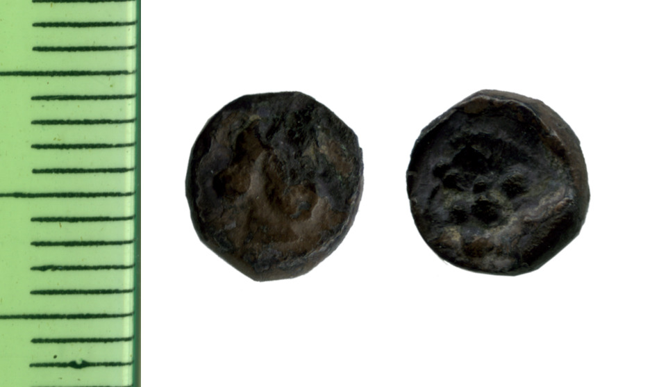 Samarian Coinage 227, аверс, sitnam